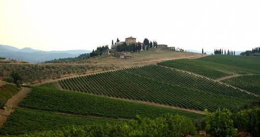 Top 10 vini della costa Toscana? Li scrive Decanter