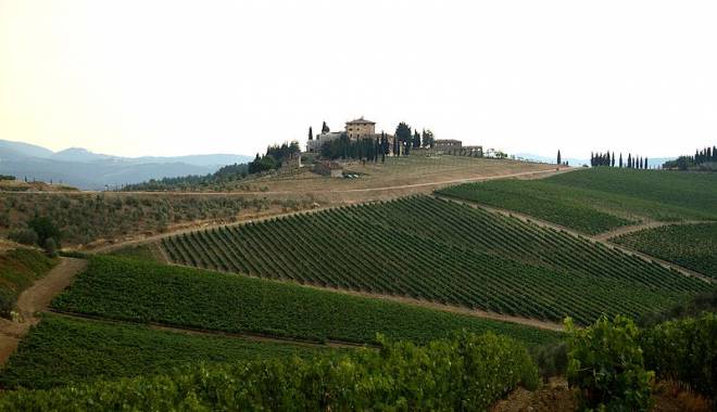 Top 10 vini della costa Toscana? Li scrive Decanter