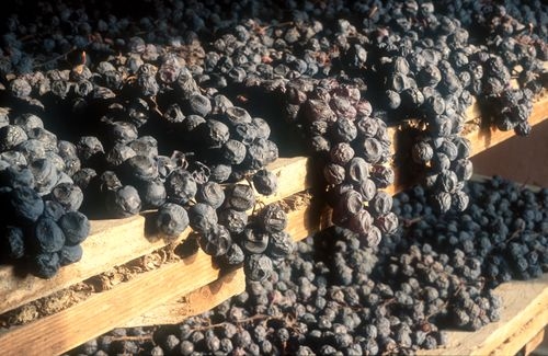 Oggi il "Vino veneto - Strumenti per la competitività"