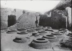 Attilio Scienza dal Simposio "Wine & Ruin"