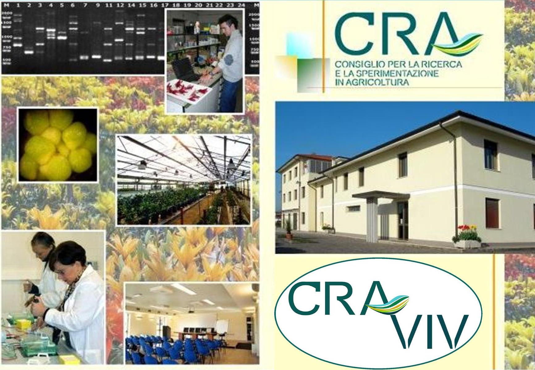 Mipaaf: il CRA nuovo CdA, 32 bandi per ricerca nell'agro-alimentare