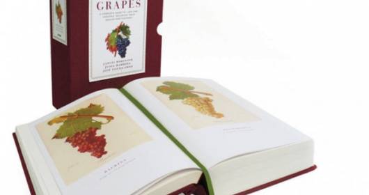 Wine Grapes: in uscita l'enciclopedia mondiale dei Vitigni