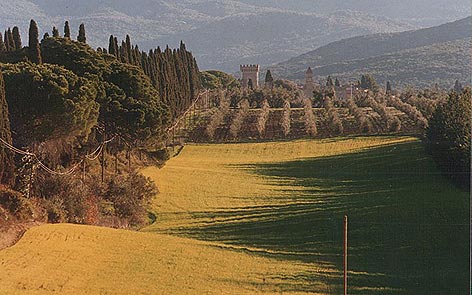 Bolgheri Le Macchiole: 20 anni del Paleo rosso in tour mondiale in 20 foto
