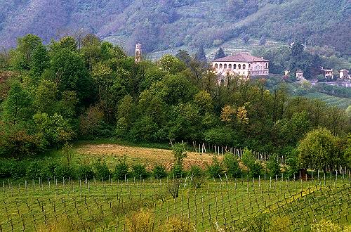 Premiati i vini Doc e Docg dei Colli Euganei vincitori della XIX  Selezione del Consorzio
