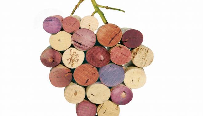 Autoctona 2012 i migliori vini da vitigni autoctoni eletti a Bolzano