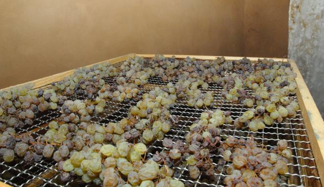 Nuovo Presidio Slow Food: il Vino Santo Trentino da uve Nosiola