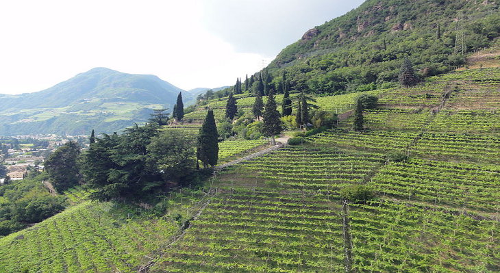 Ipso e Fai il vino  un patrimonio anche culturale