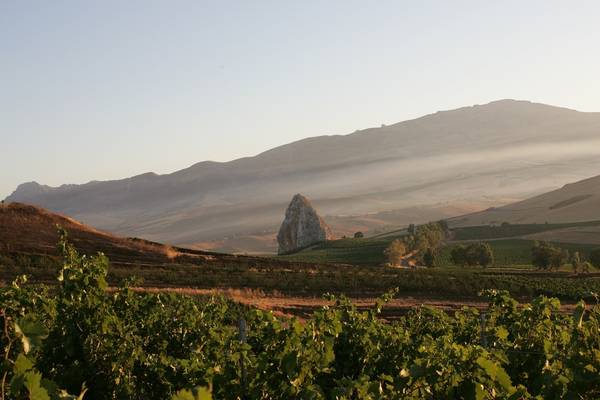 Centopassi: vino di terre liberate dalle mafie