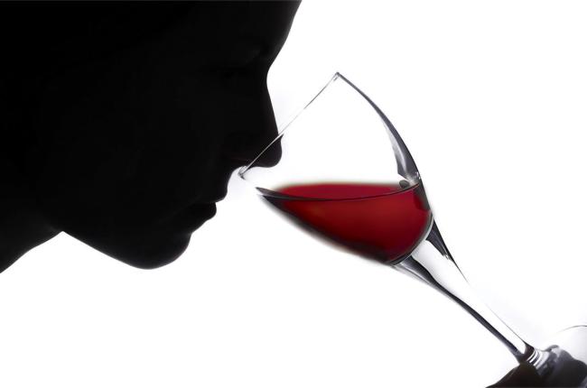Terre di Toscana 2013