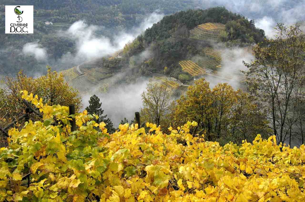 Bewine di Trento: un successo