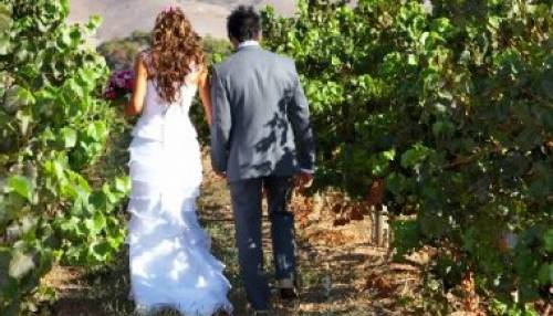 Sposarsi in Cantina sempre pi di tendenza: gli stranieri vengono in Italia