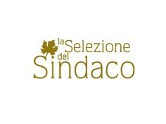 La Selezione del Sindaco 2013: affrettatevi per partecipare