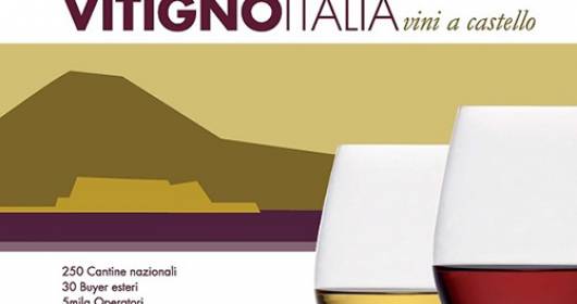 Vitignoitalia 2013, un successo: i migliori vini d'Italia a Napoli vincitori
