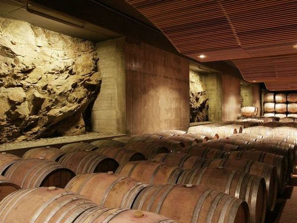 La «Cantina dell'anno 2014»