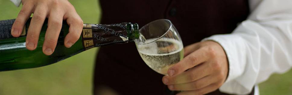BIBENDA 2014: i vini italiani cinque grappoli