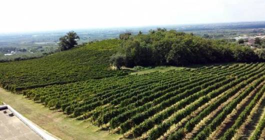 CO2 Resa: il mondo del vino ha il registo dei tagli di CO2