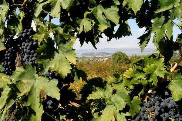 Eataly New York: l'Umbria da gustare ha successo