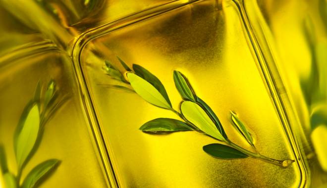 Flos Olei 2014: i migliori oli d'oliva al mondo