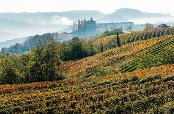 L'italiano tra i Premi Oiv: Caucasus and Northem Black Sea Region Ampelography