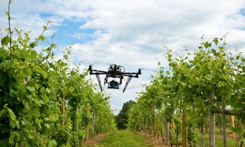 Innovazioni tecnologiche: i droni tra i filari di Magrez
