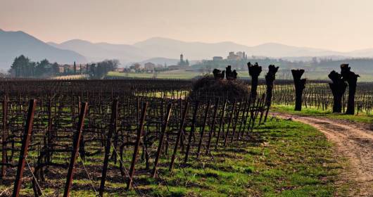 Forbes: Franciacorta  una delle SIX EXCITING WINE REGIONS TO EXPLORE IN 2014