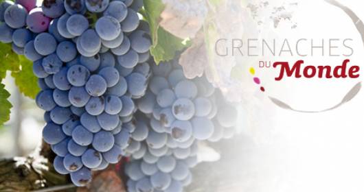 Grenaches du Monde 2014: 6 medaglie ai vini italiani Cannonau