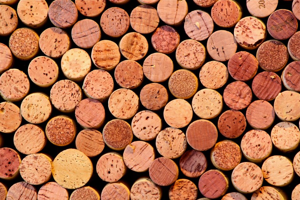 Vino che sa di tappo: lo previene il naso tecnologico