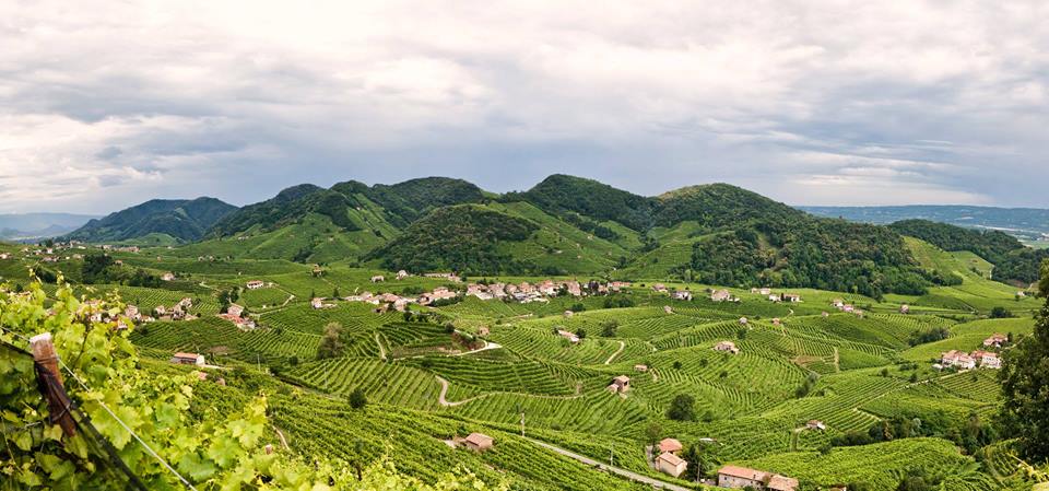 Wine Enthusiast dichiara l'Umbria Top Wine getaways