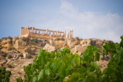 Travellers' Choice: la Sicilia del vino