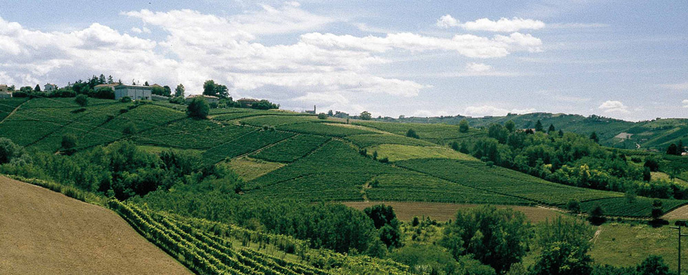 Impronta Ecologica del Vino con la geologia dalla Campania