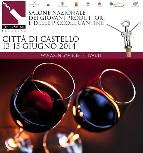 Only wine Festival 2014