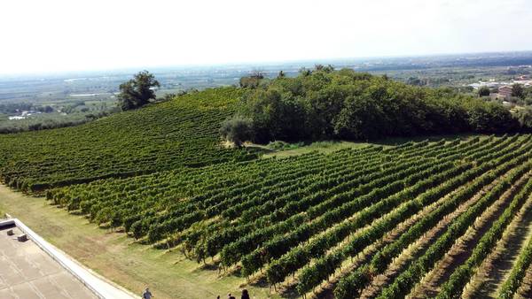 Effetto wow per il Piemonte del Vino