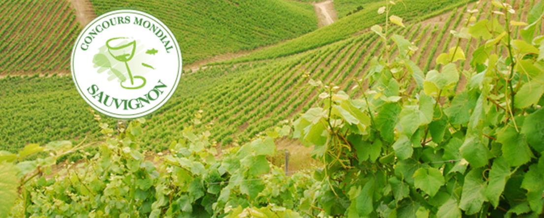 Concours Mondial du Sauvignon 2015 per la prima volta in Italia