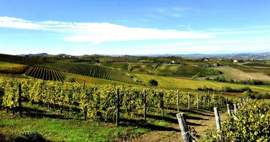 Nizza e la Barbera dAsti sono patrimonio Unesco