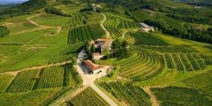 Friulano&friends: 9 i migliori vini del Friuli