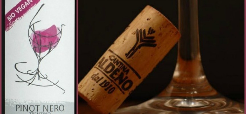Primo Vino Vegano by Cantina di Aldeno