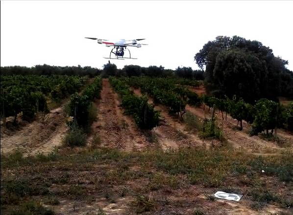 I Droni per fare le analisi aeree stato salute vigne