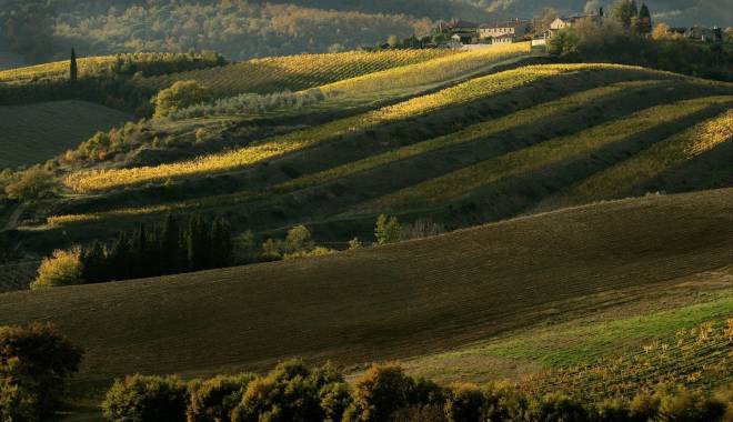 Chianti Classico in corsa per il titolo di Wine Region of the Year