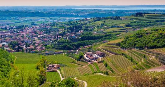 AUTOCHTONA 2014: 21-22 ottobre Bolzano ospita il Forum dei vini autoctoni