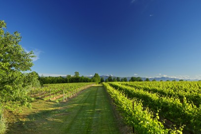 Bisol premiato da Wine&Spirits Magazine a San Fransisco