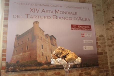 Oggi Asta Mondiale del Tartufo e lotti di Barolo e Barbaresco
