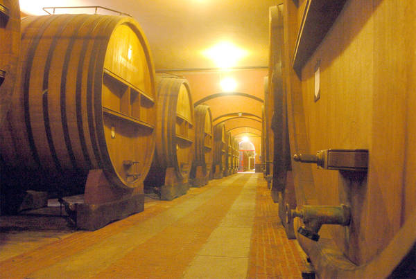 A rischio la produzione Vinsanto