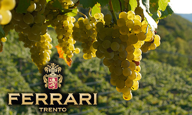 Cantine Ferrari è l"Impresa familiare dell'anno" 2014