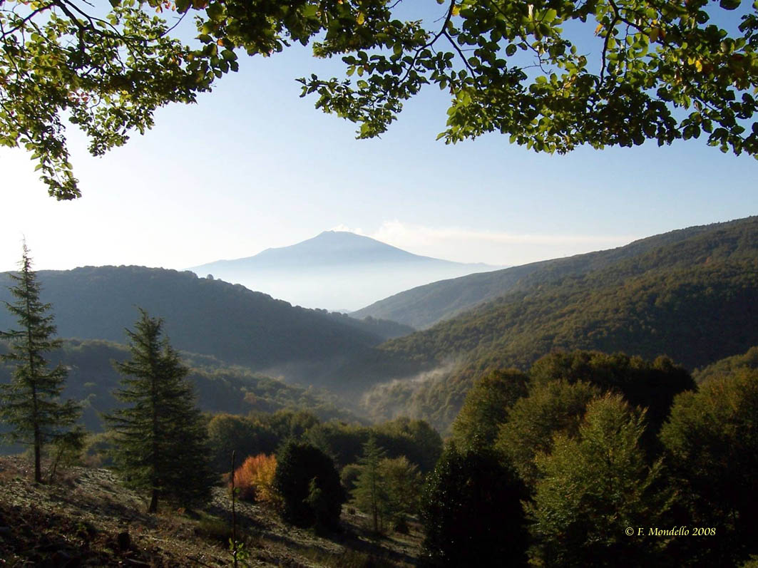 Nebrodi: lo spumante siciliano del Parco Nebrodi