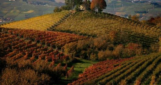 Piemonte è tra le 10 Best Wine Travel Destinations 2015 di Wine Enthusiast