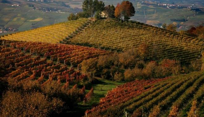Piemonte è tra le 10 Best Wine Travel Destinations 2015 di Wine Enthusiast