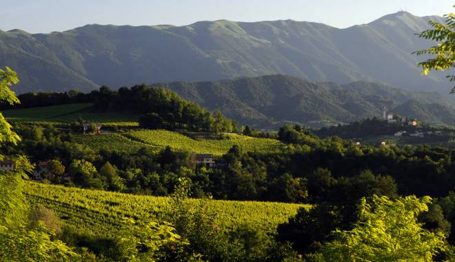 Prosecco Superiore: le colline del Conegliano Valdobbiadene verso il riconoscimento di Patrimonio Unesco