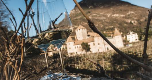 Mostra vini Bolzano 2015: un successo per i vini altoatesini