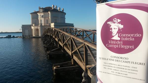 Ischia e Capri ora sono nel Consorzio Campi Flegrei