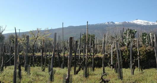 Etna Doc: i vini del Vulcano a Monaco di Baviera